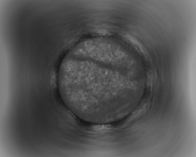 X0000091650465200709201129