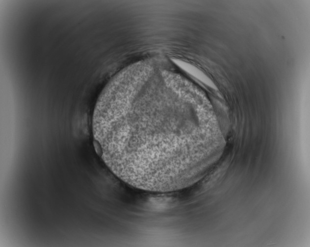 X0000091650470200709201129