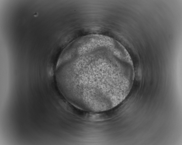 X0000091650472200709201129