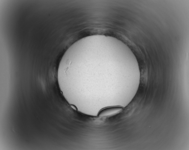 X0000091650474200709201129