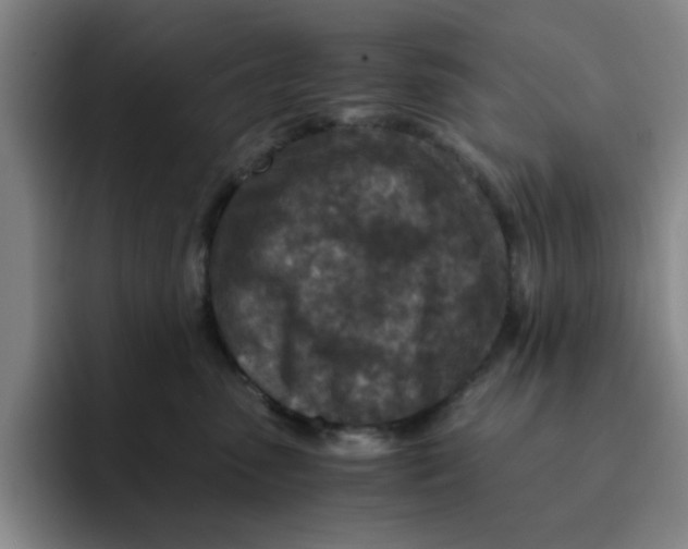 X0000091650475200709201129