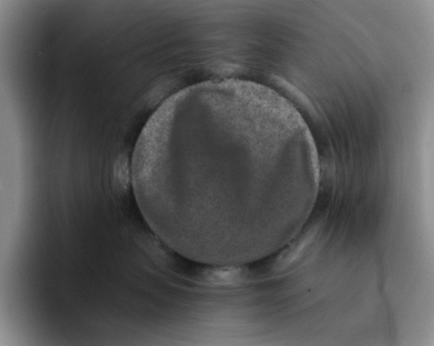 X0000091650479200709201129