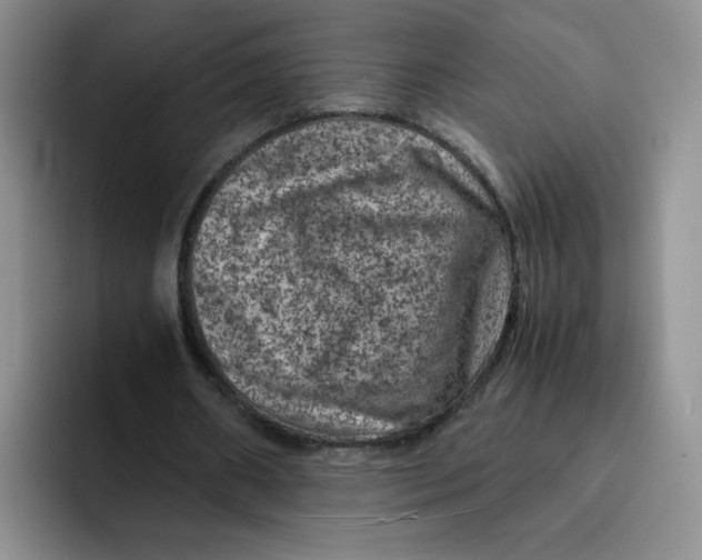 X0000091650482200709201129