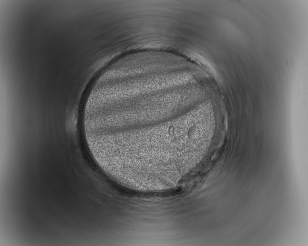 X0000091650483200709201129