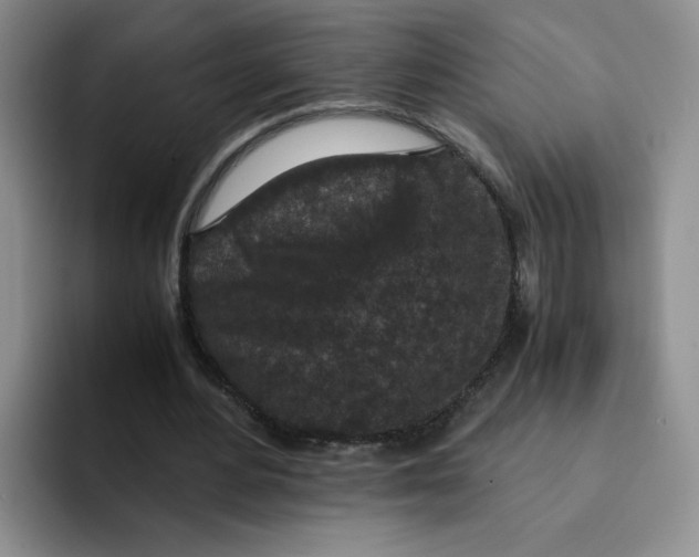 X0000091650484200709201129