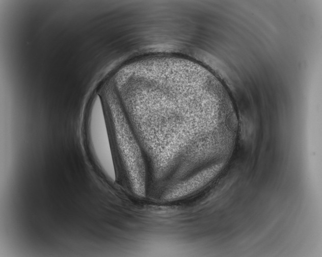 X0000091650486200709201129