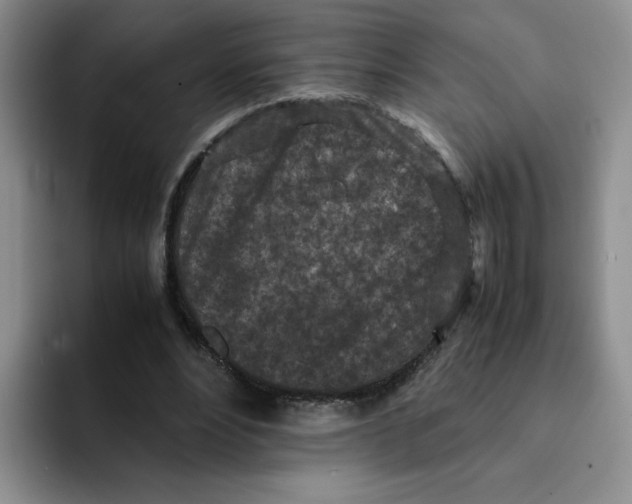 X0000091650488200709201129