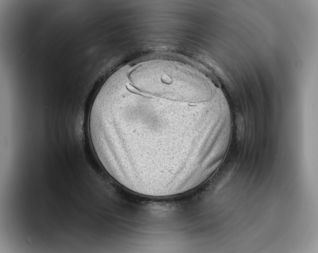 X0000091650490200709201129