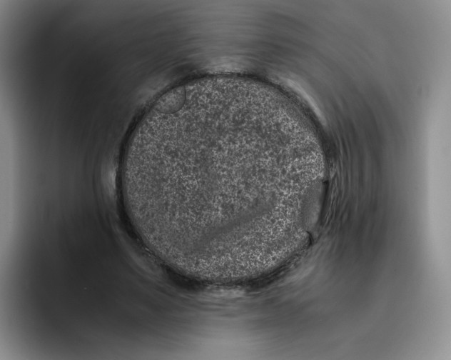 X0000091650491200709201129