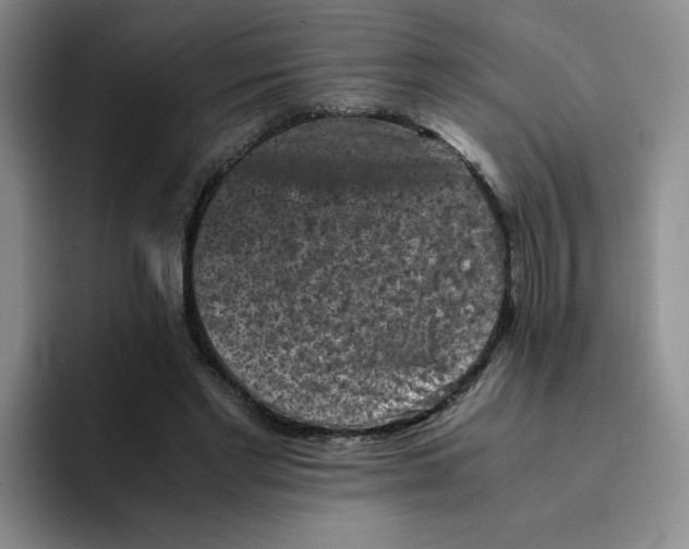 X0000091650493200709201129