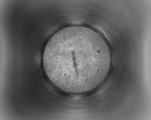 X0000091650495200709201129