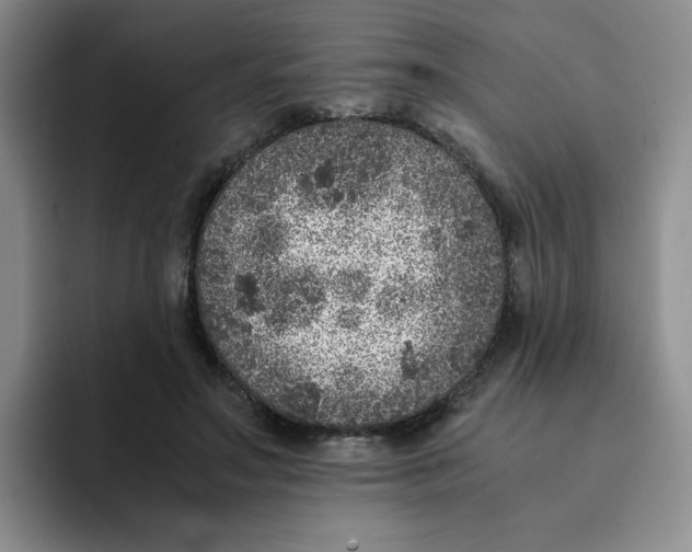 X0000091650499200709201129