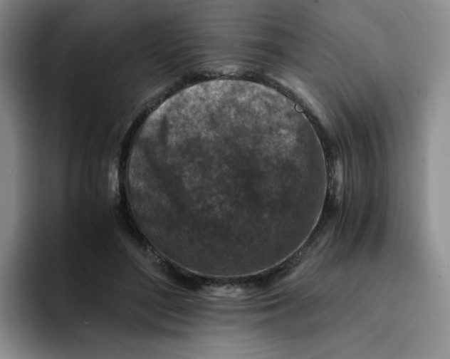 X0000091650500200709201129