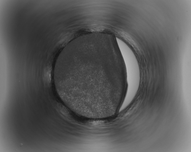 X0000091650501200709201128