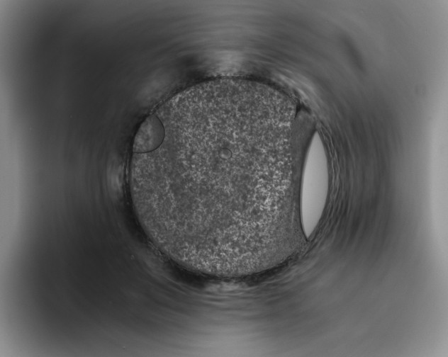 X0000091650503200709201128