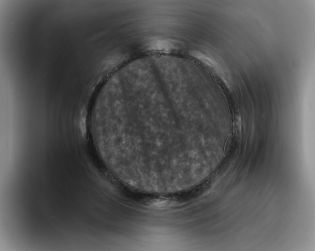 X0000091650504200709201128