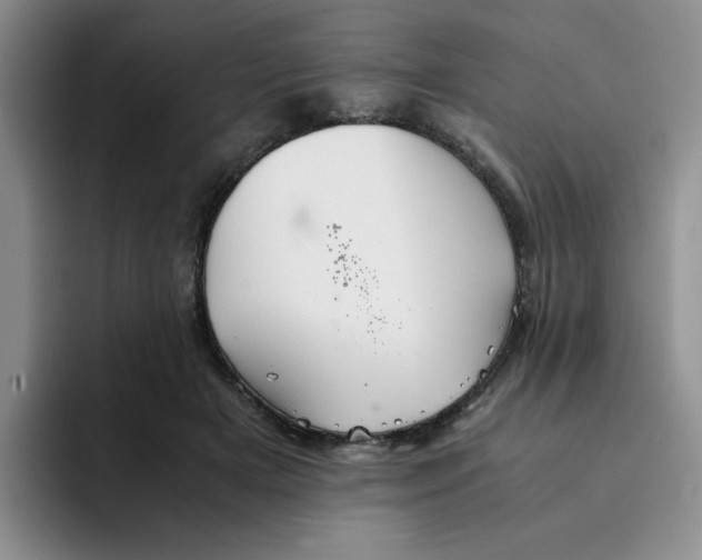 X0000091650505200709201128