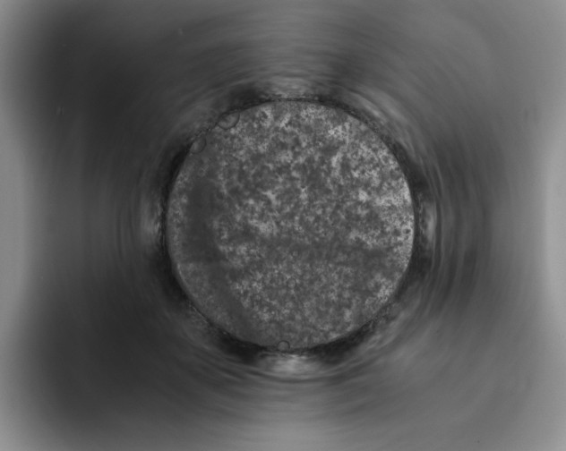 X0000091650507200709201128