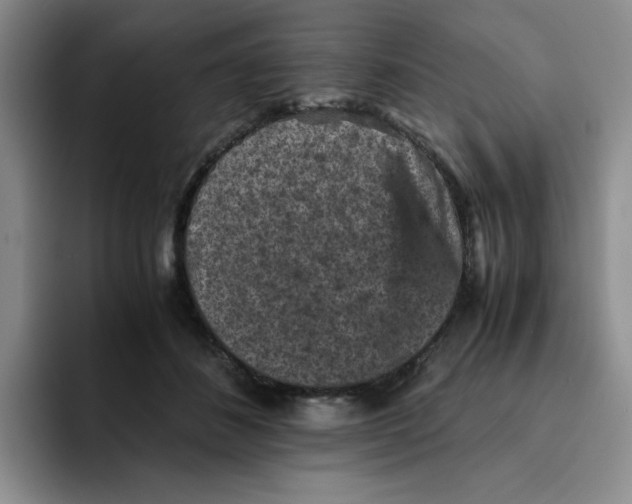 X0000091650508200709201128