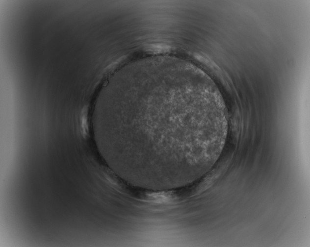 X0000091650516200709201128