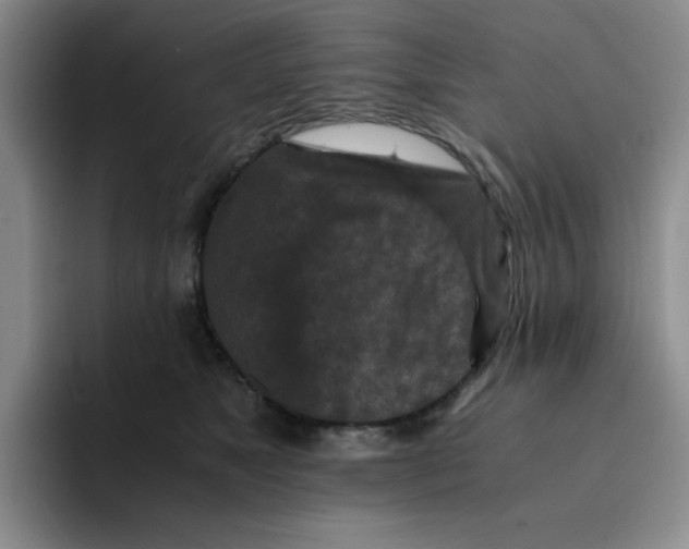 X0000091650517200709201128