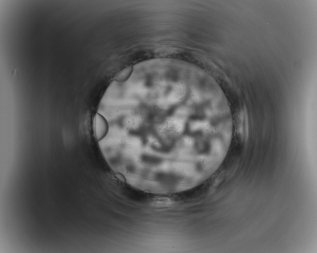 X0000091650519200709201128