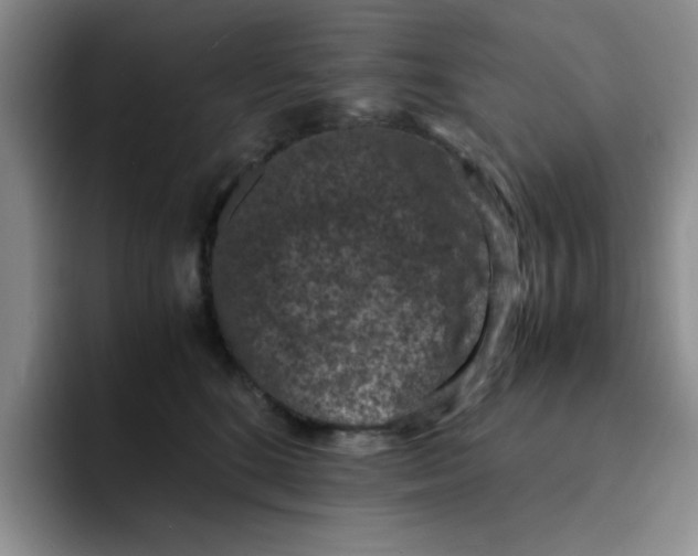 X0000091650520200709201128