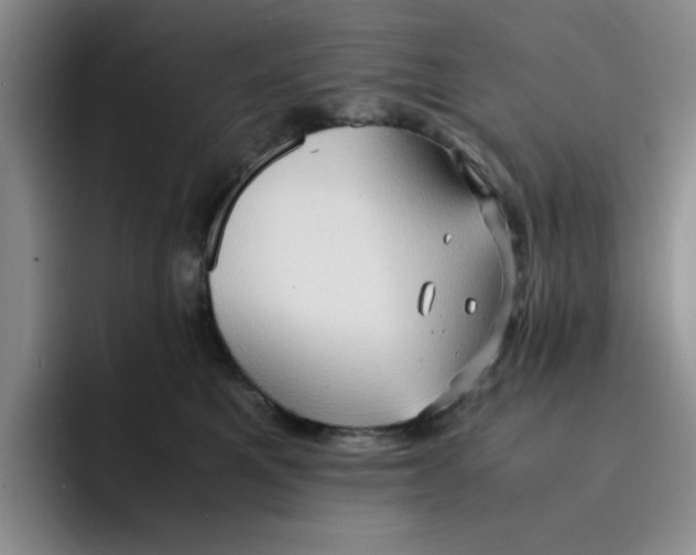 X0000091650521200709201128