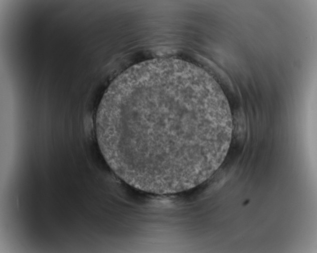 X0000091650523200709201128