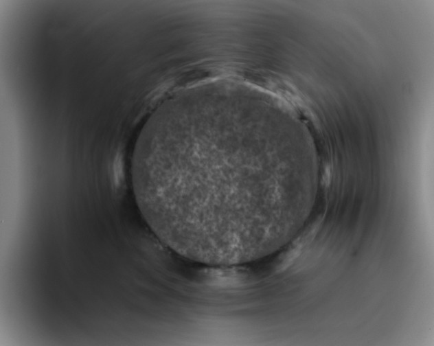 X0000091650524200709201128