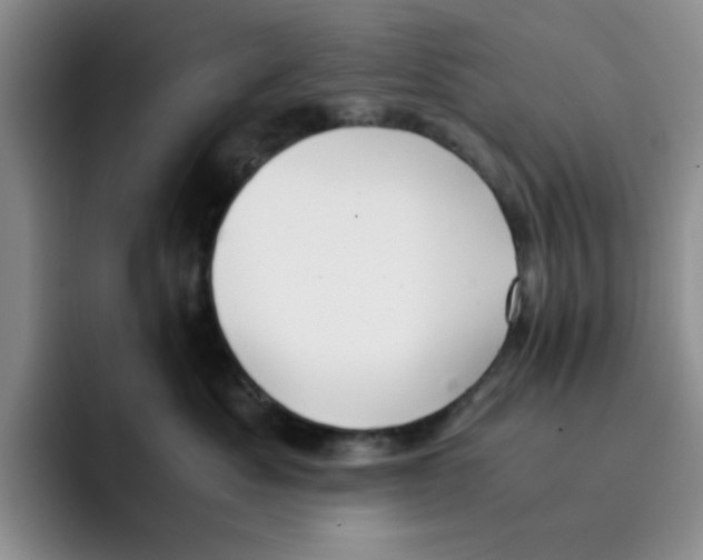 X0000091650525200709201128