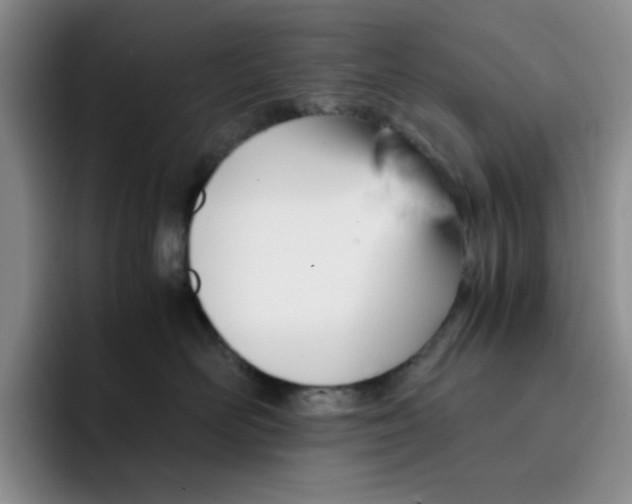 X0000091650526200709201128