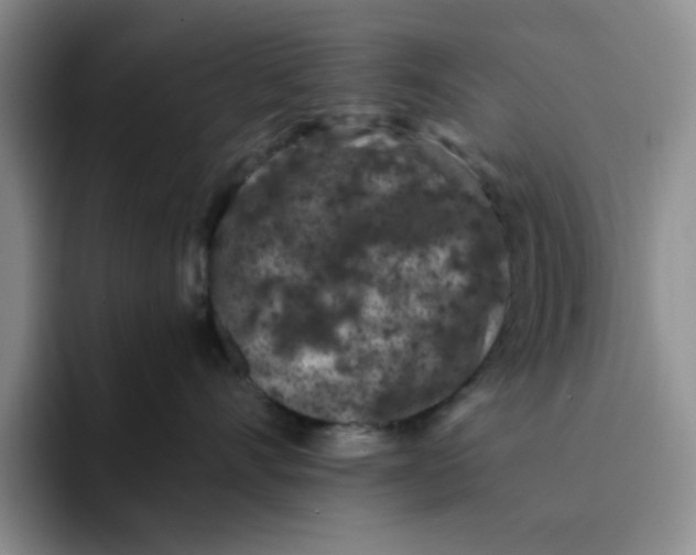 X0000091650528200709201128