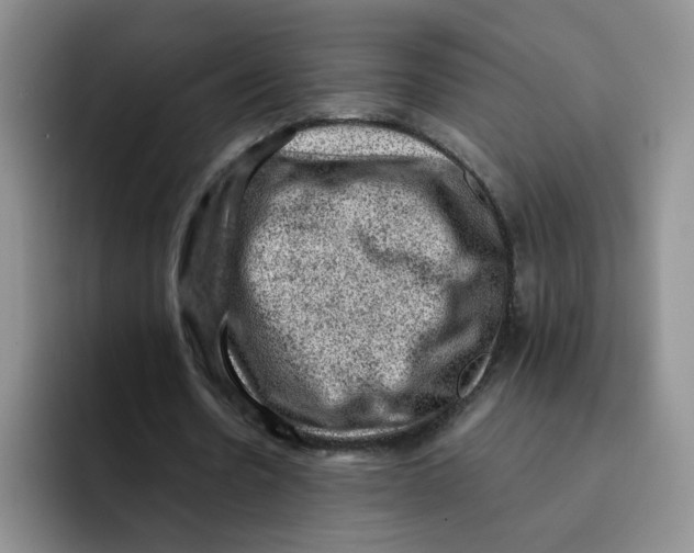 X0000091650530200709201128