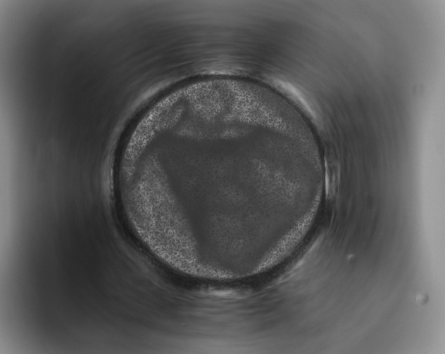 X0000091650531200709201128