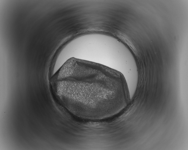 X0000091650534200709201128