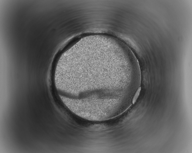 X0000091650536200709201128