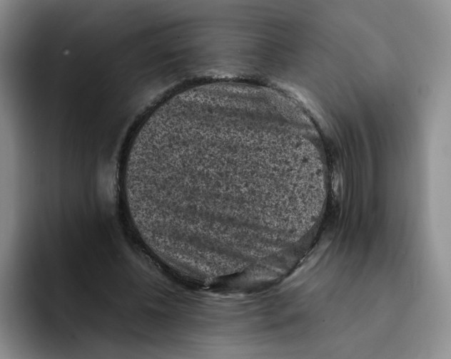 X0000091650540200709201128