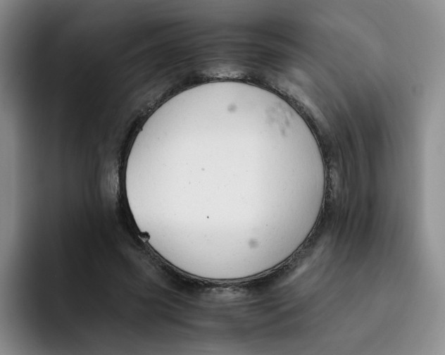 X0000091650541200709201128