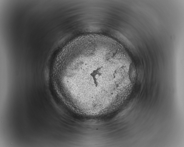 X0000091650542200709201128