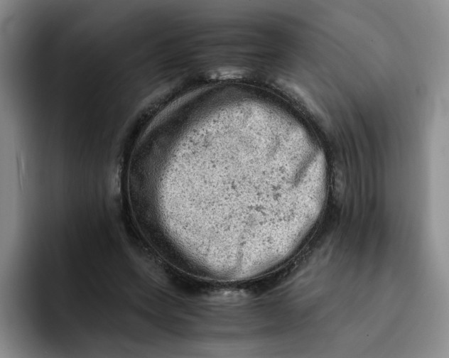 X0000091650543200709201128