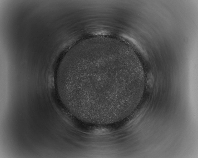 X0000091650547200709201128