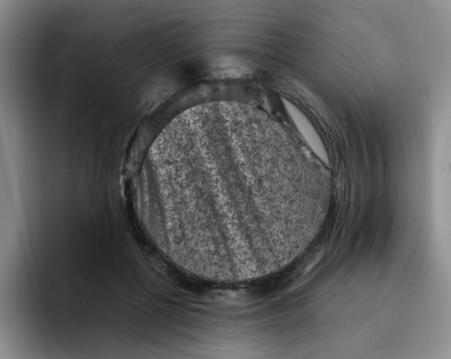 X0000091650552200709201128