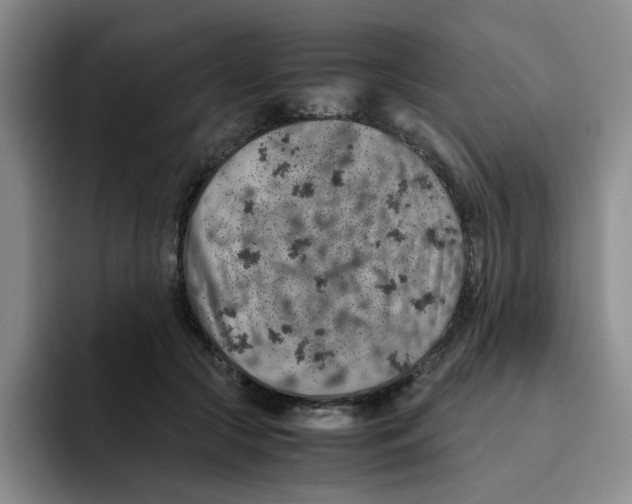 X0000091650553200709201128