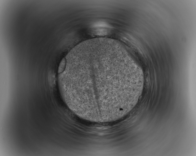 X0000091650555200709201128