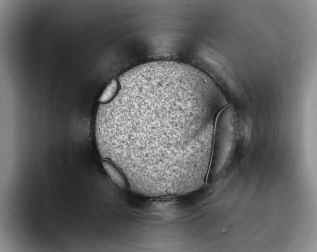 X0000091650560200709201128