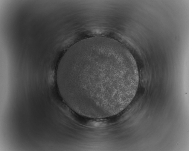 X0000091650563200709201128