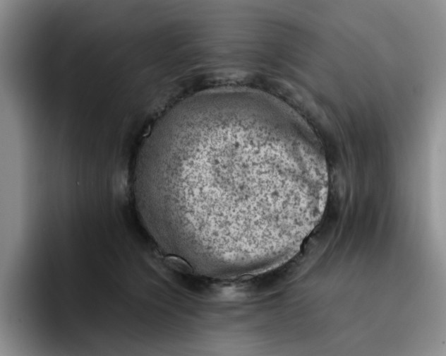 X0000091650564200709201128