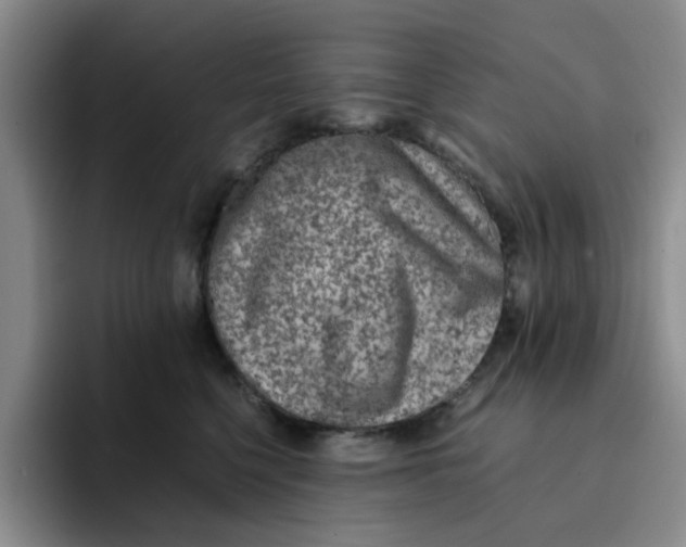 X0000091650568200709201128