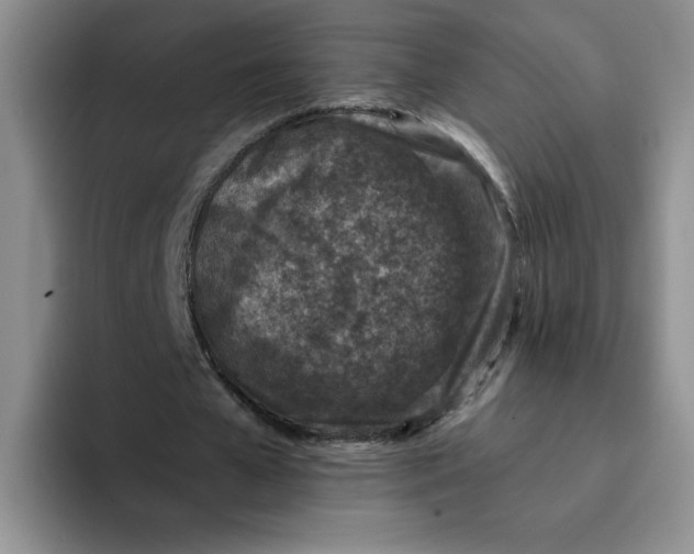 X0000091650577200709201128